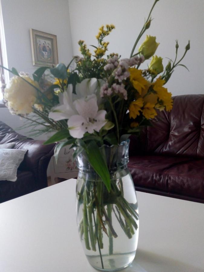Nektar 88 Apartment Vrnjacka Banja Bagian luar foto