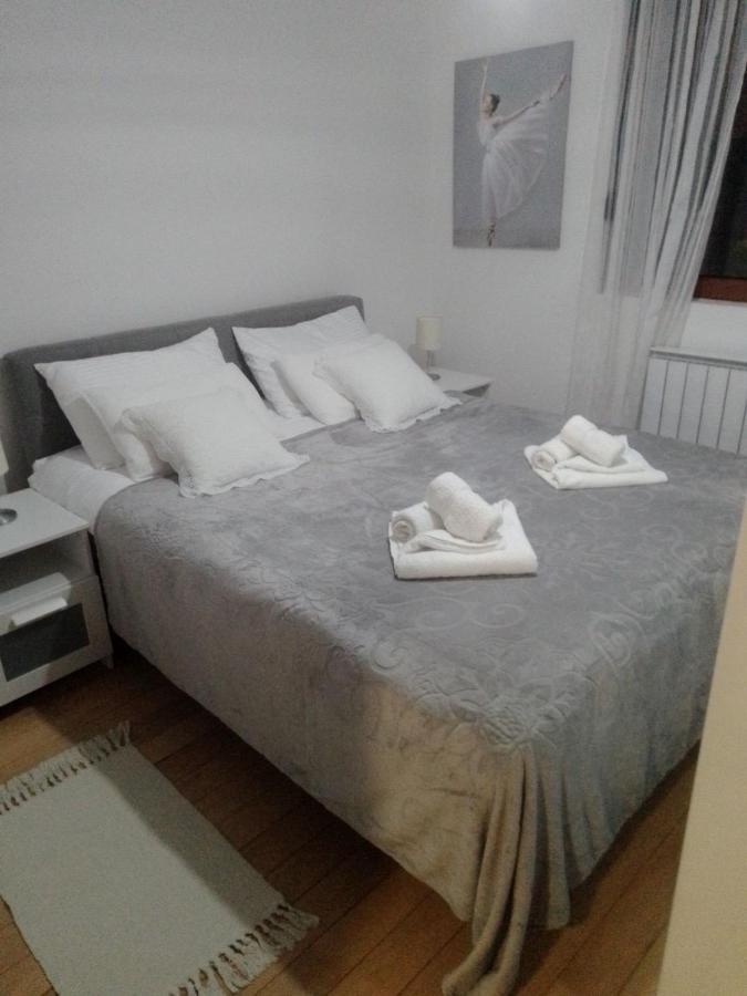 Nektar 88 Apartment Vrnjacka Banja Bagian luar foto