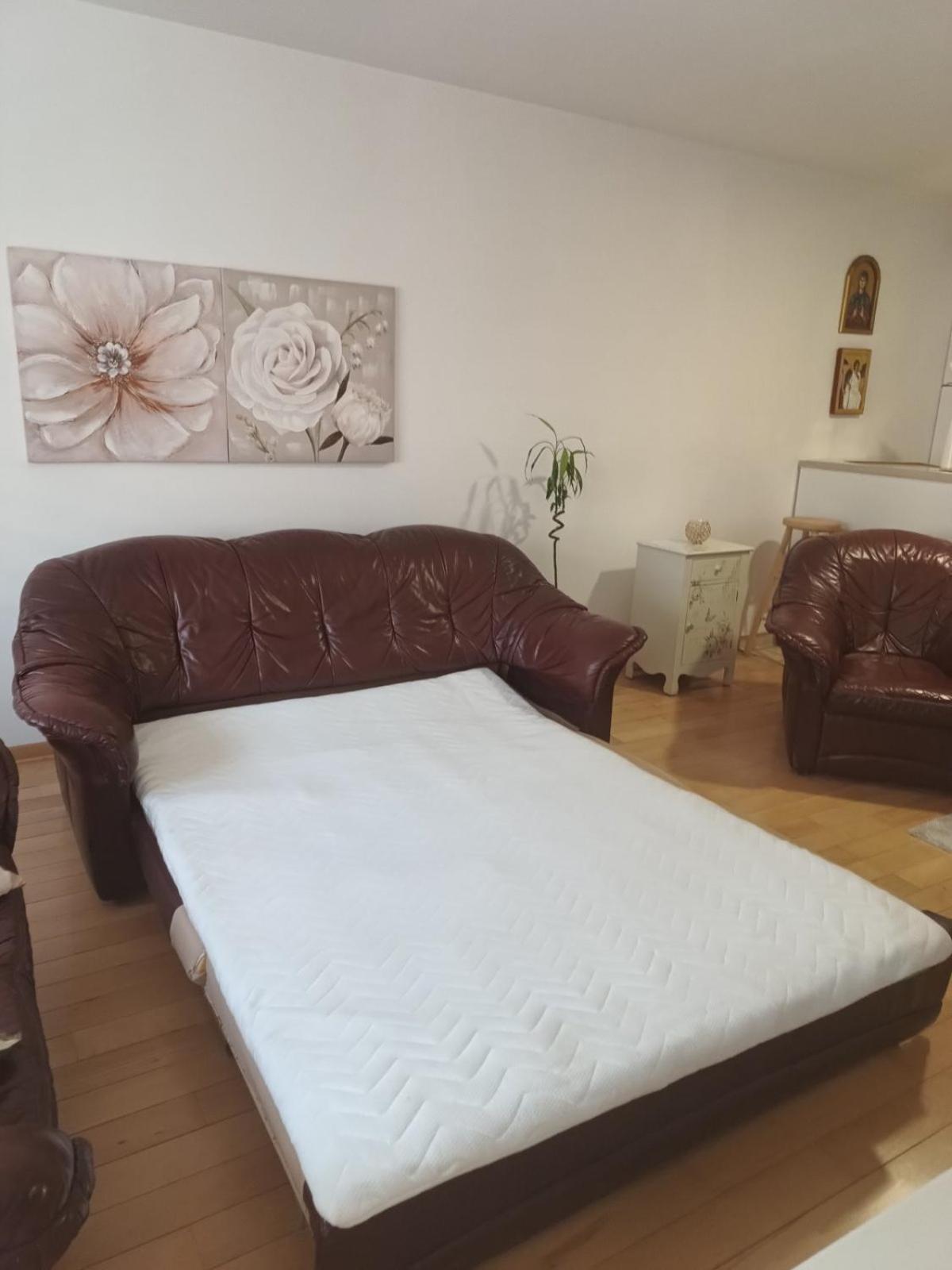 Nektar 88 Apartment Vrnjacka Banja Bagian luar foto